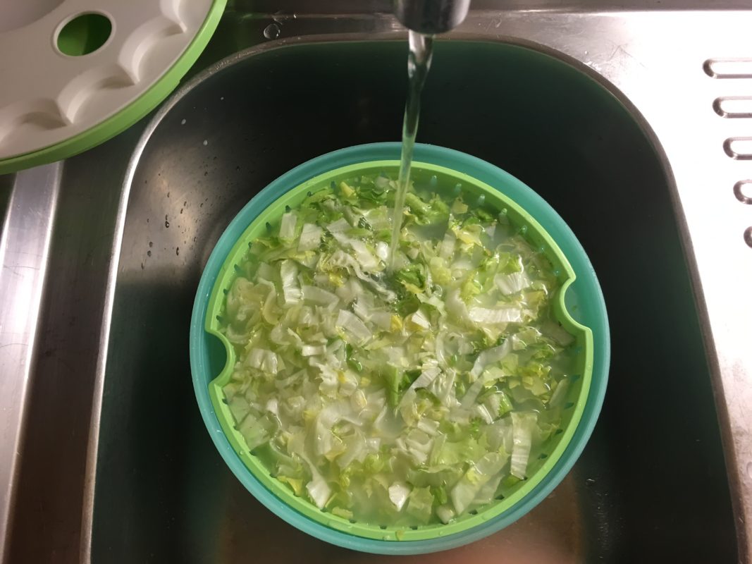 salat-im-milchwasser